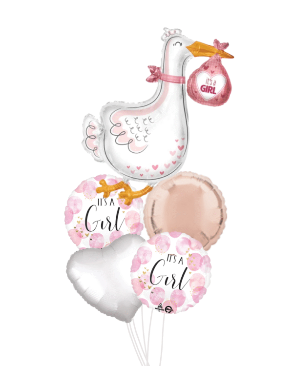 Baby girl stork large baby girl balloons and round pink heart white balloon