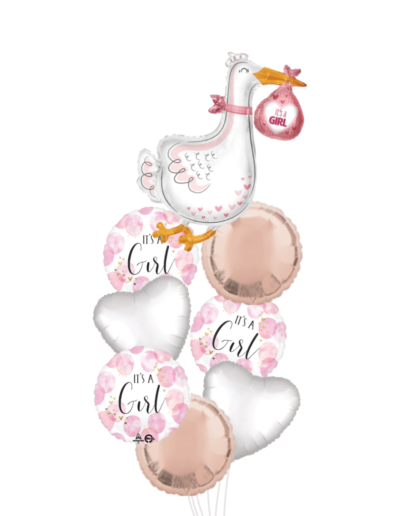 Baby girl stork large baby girl balloons and 1 round pink 1 heart white balloon